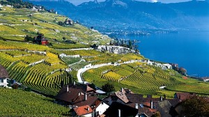 cn_image.size.switzerland-vineyards-of-lavaux