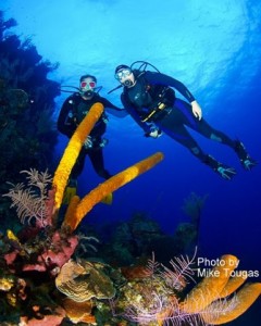 phoca_thumb_l_divers and coralby mike tougas