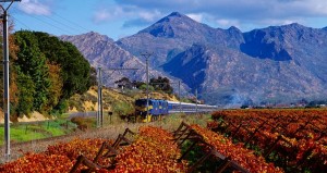 Western Cape South Africa Blue Train Through Hexriver. Image shot 2006. Exact date unknown.