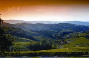 Langhe1